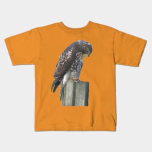 Falcon on Post Kids T-Shirt